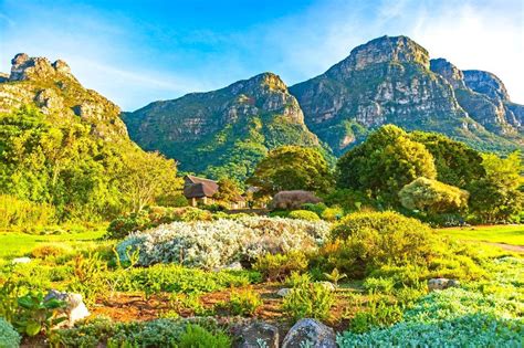 botanischer garten kirstenbosch fotos|Tierwelt Fotogalerien 